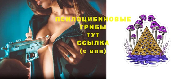 хмурый Алексеевка