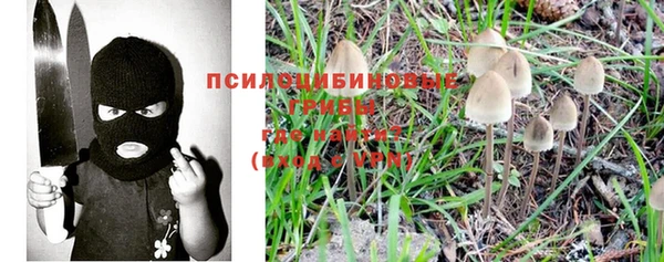 таблы Алзамай