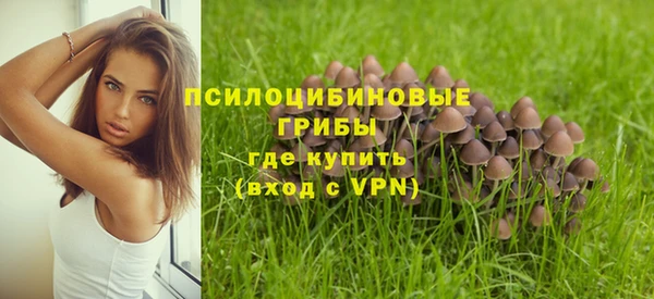 таблы Алексин
