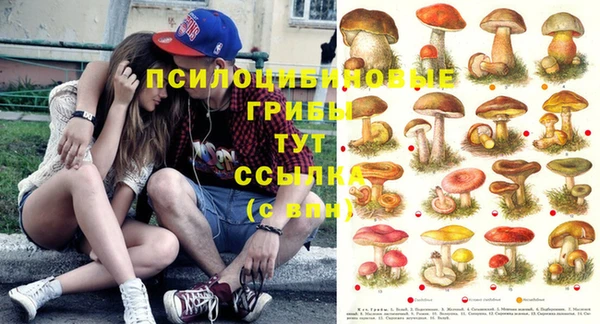 таблы Алексин