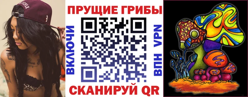 Галлюциногенные грибы прущие грибы  наркошоп  блэк спрут как войти  Электрогорск 